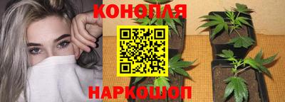 прущие грибы Протвино